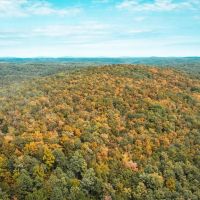 Whizen Hunt Hollow Tract 1