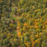 Whizen Hunt Hollow Tract 1 images 4