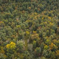 Whizen Hunt Hollow Tract 1 images 5