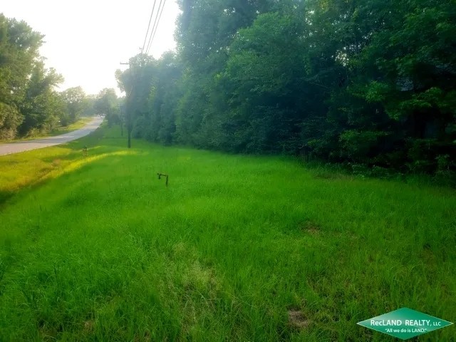 21.5 ac - Timberland for Home Site or Development in Town featured image