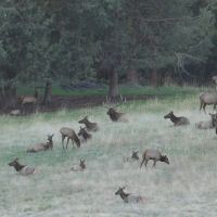 Shilo Ranch