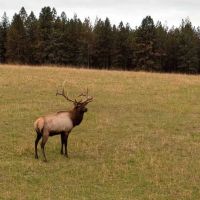 Shilo Ranch images 3