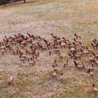 Shilo Ranch images 4