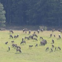 Shilo Ranch images 5