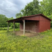 58 Acre fully fenced farm in Wilson County