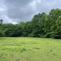 58 Acre fully fenced farm in Wilson County images 2