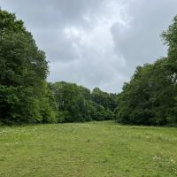 58 Acre fully fenced farm in Wilson County images 4