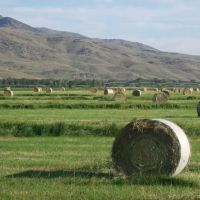 CloverCrest Ranch on the Jefferson images 3