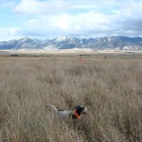 CloverCrest Ranch on the Jefferson images 4