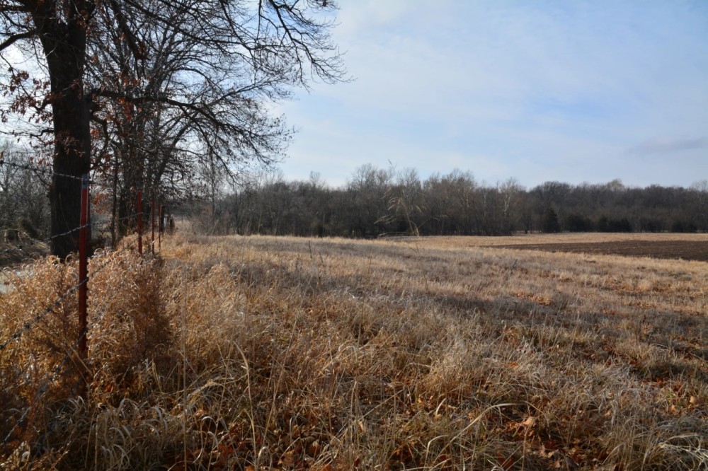 Tauy Creek Build Site featured image