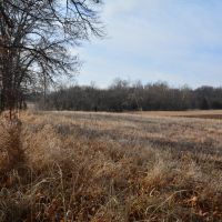 Tauy Creek Build Site