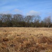 Tauy Creek Build Site images 2
