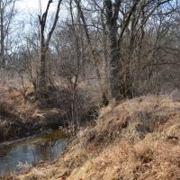 Tauy Creek Build Site images 3
