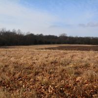 Tauy Creek Build Site images 4
