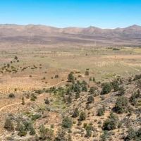 Borchard Ranch