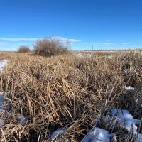 Strasburg Farm on Wolf Creek images 4