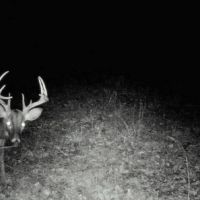 JANESVILLE RD. 120