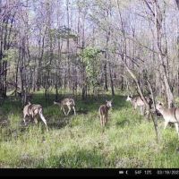 JANESVILLE RD. 120 images 5