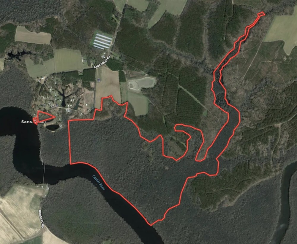 233 Acres of Waterfront Hunting Land For Sale in Bertie County NC featured image