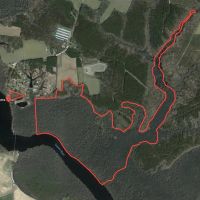 233 Acres of Waterfront Hunting Land For Sale in Bertie County NC