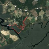 233 Acres of Waterfront Hunting Land For Sale in Bertie County NC images 2