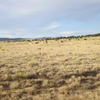 185 Black Hills 1 Walsenburg CO images 2