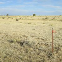 185 Black Hills 1 Walsenburg CO images 3