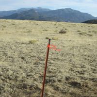 185 Black Hills 1 Walsenburg CO images 4