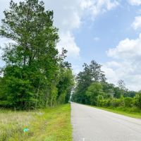 47 Acres Cravens Camp Rd. D-2 Silsbee Stake images 3