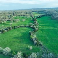King Creek 60