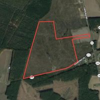 115 acres with Home Site and Timber Land in Suffolk County VA