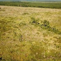 115 acres with Home Site and Timber Land in Suffolk County VA images 2