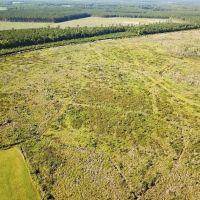 115 acres with Home Site and Timber Land in Suffolk County VA images 3