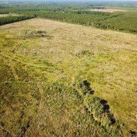 115 acres with Home Site and Timber Land in Suffolk County VA images 4