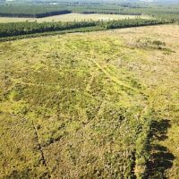 115 acres with Home Site and Timber Land in Suffolk County VA images 5