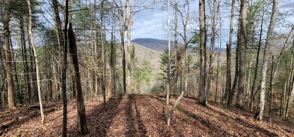 1.2 - Acre lot with Lake Access and Lake View featured image