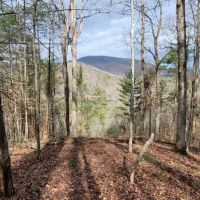 1.2 - Acre lot with Lake Access and Lake View