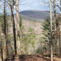 1.2 - Acre lot with Lake Access and Lake View images 2