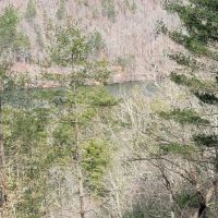 1.2 - Acre lot with Lake Access and Lake View images 3