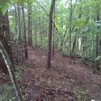 1.2 - Acre lot with Lake Access and Lake View images 5