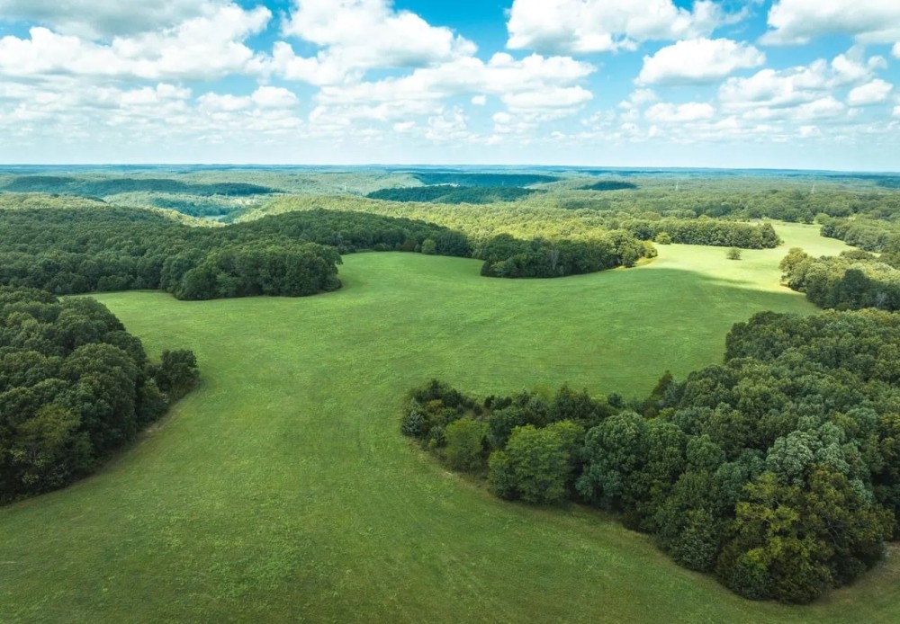 Camp Creek Tract 4 featured image