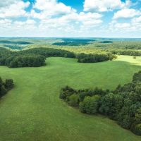 Camp Creek Tract 4