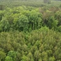 236.9 Acres in Attala County in West MS images 3
