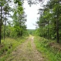 236.9 Acres in Attala County in West MS images 4