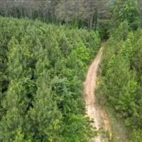 236.9 Acres in Attala County in West MS images 5