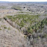32.94 acres of Hunting and residential Land for Sale in Henry County VA images 2