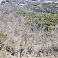 32.94 acres of Hunting and residential Land for Sale in Henry County VA images 4