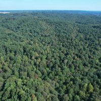 Secluded Hunting Paradise in Jackson County IN - 78.58 Acres images 2