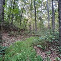 Secluded Hunting Paradise in Jackson County IN - 78.58 Acres images 4