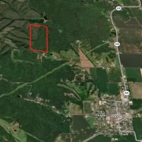Secluded Hunting Paradise in Jackson County IN - 78.58 Acres images 5